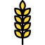 Wheat icône 64x64