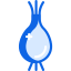 Onion ícono 64x64