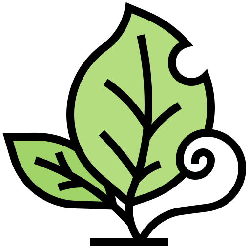Leaf icon