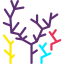 Seaweed icon 64x64