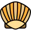 Seashell icon 64x64