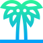 Palm tree 图标 64x64
