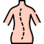 Osteotherapy icon 64x64