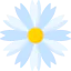 Ромашка иконка 64x64