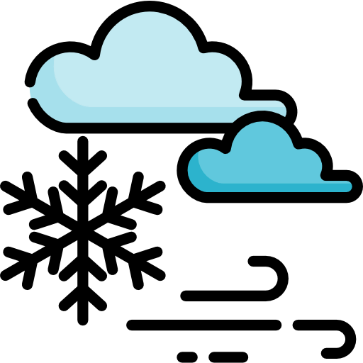 Winter icon