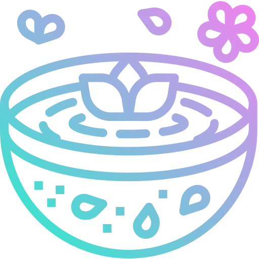 Spa icon