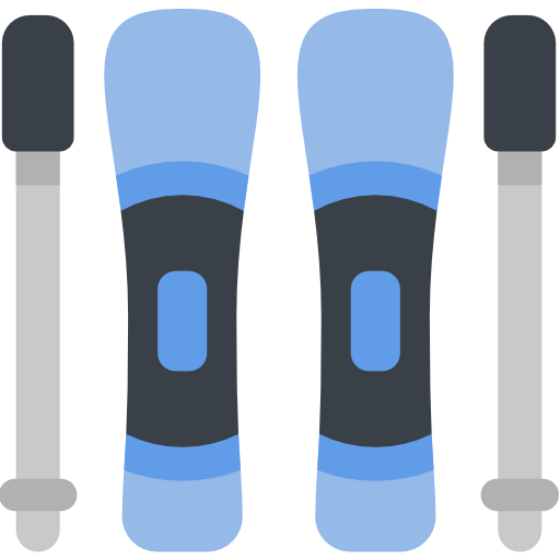 Skis 图标