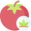 Tomato アイコン 64x64