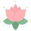 Lotus flower ícono 64x64