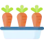 Carrot アイコン 64x64