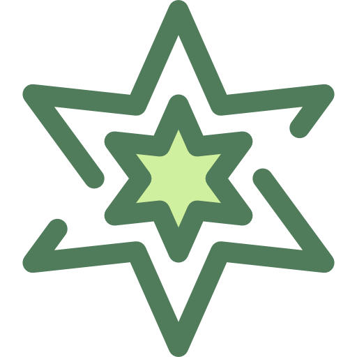 Star icon