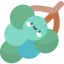 Grapes icon 64x64