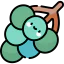 Grapes icon 64x64