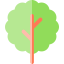 Tree icon 64x64