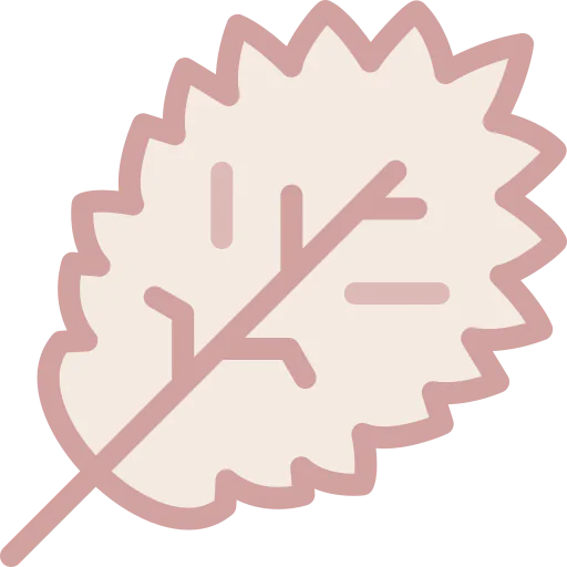 Leaf icon