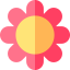 Flower icon 64x64