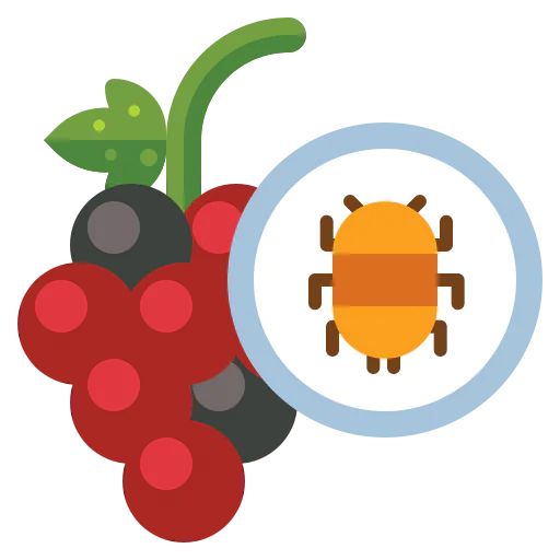 Bugs 图标