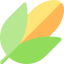Corn icon 64x64