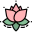 Lotus flower icon 64x64