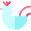 Hen icon 64x64