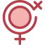 Lesbian icon 64x64