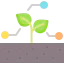 Plant ícone 64x64