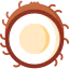 Coconut Ikona 64x64