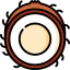 Coconut Ikona 64x64