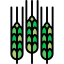 Barley icon 64x64