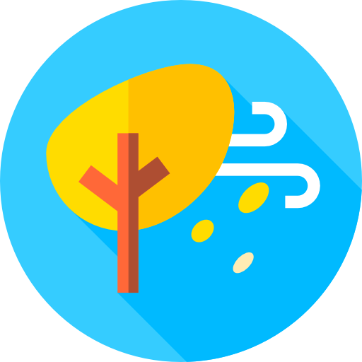 Wind icon
