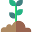 Plant 图标 64x64