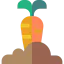 Carrot 图标 64x64