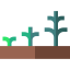 Growing 图标 64x64