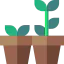 Growing 图标 64x64