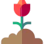 Flower 图标 64x64