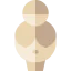 Venus icon 64x64