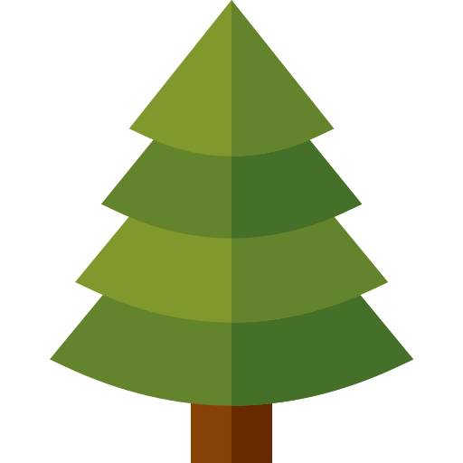 Pine icon
