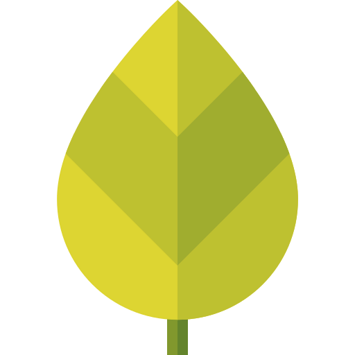 Leaf icon