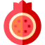 Pomegranate icon 64x64