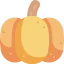 Pumpkin icon 64x64