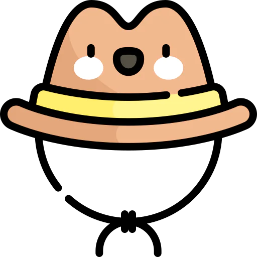 Cowboy hat Ikona