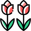 Tulip icon 64x64