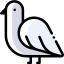 Dove icon 64x64