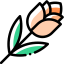 Tulip icon 64x64