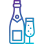 Champagne icon 64x64