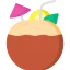 Coconut ícono 64x64