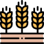 Barley icon 64x64