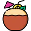 Coconut 图标 64x64