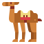 Dromedary icon 64x64