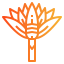 Flower icon 64x64